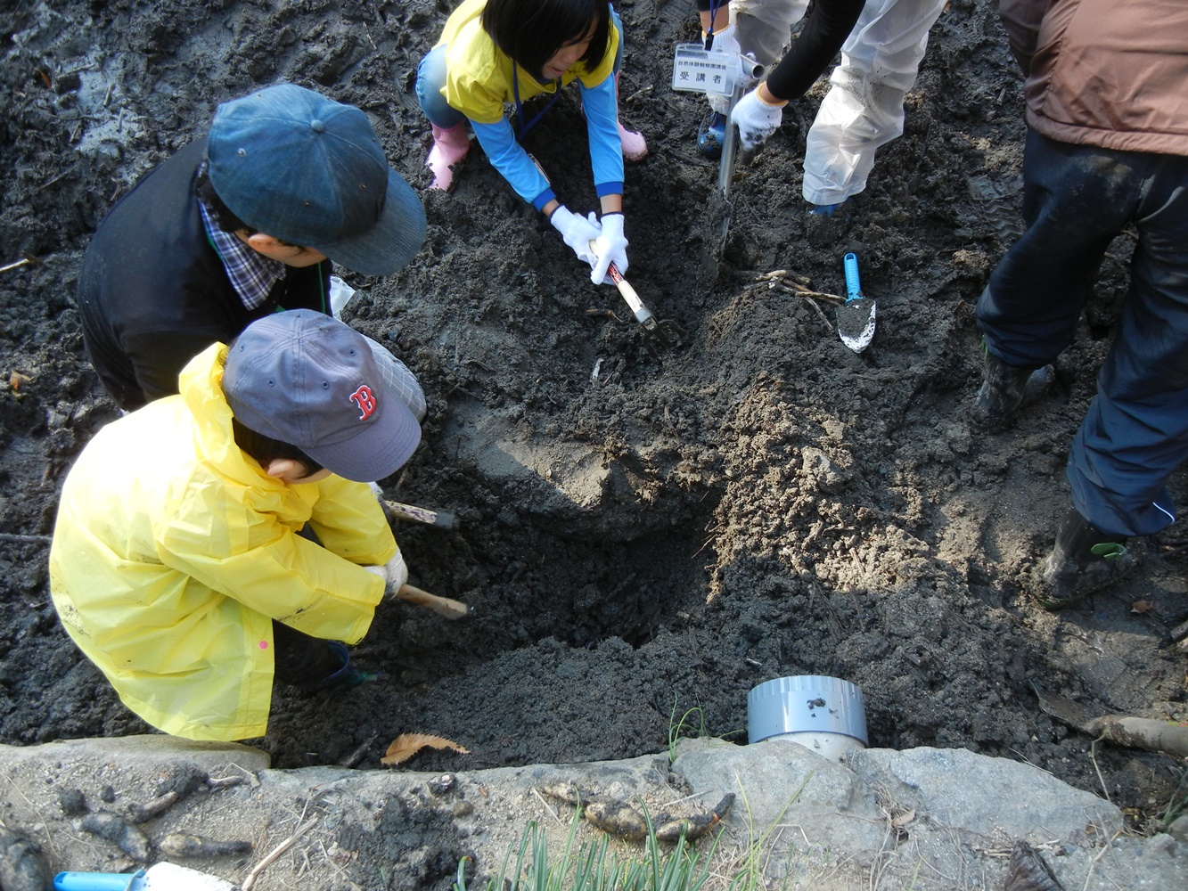 自然体験観察園講座 鶴見緑地でレンコン掘り なにわエコスタイル